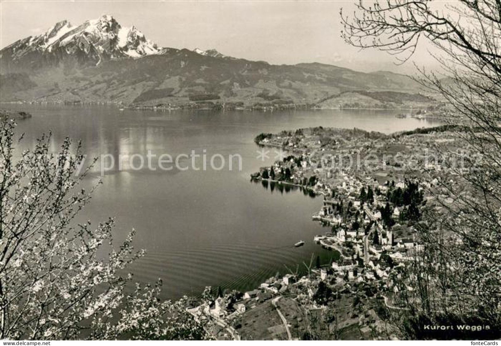 13738803 Weggis Vierwaldstaettersee Panorama Mit Pilatus Weggis Vierwaldstaetter - Autres & Non Classés