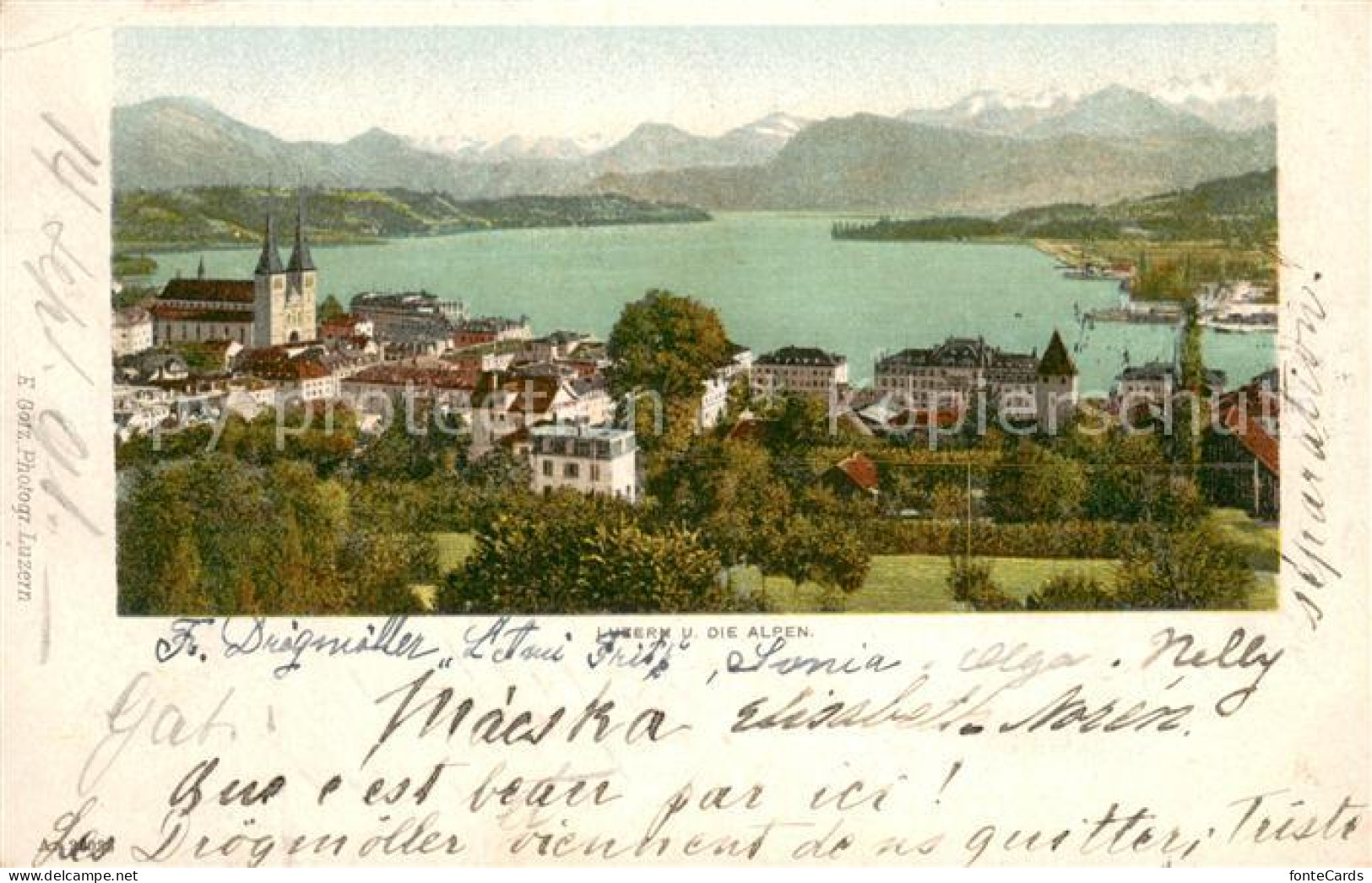 13738698 Luzern  LU Panorama Vierwaldstaettersee Und Die Alpen  - Other & Unclassified