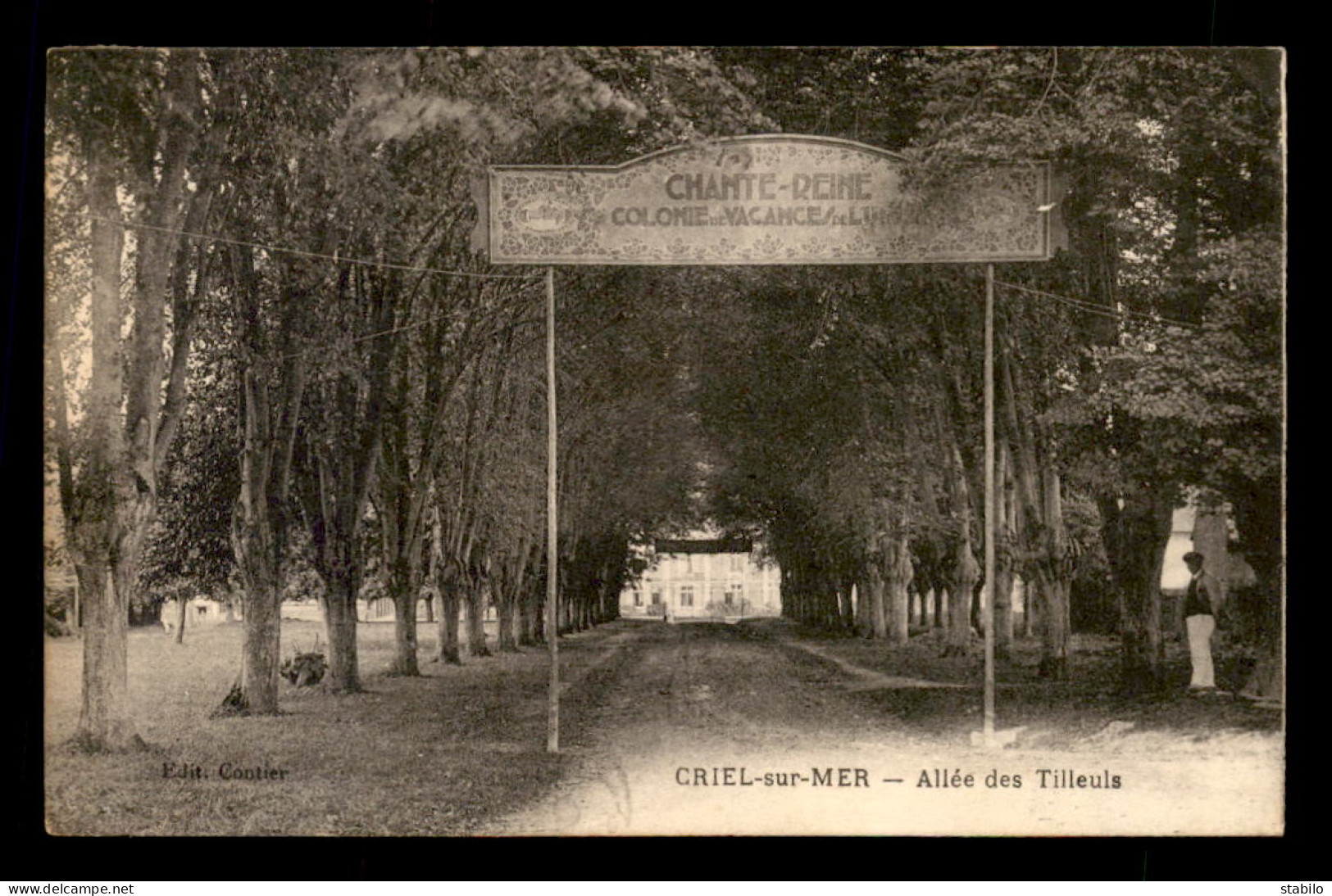 76 - CRIEL-SUR-MER - ALLEE DES TILLEULS - COLONIE DE VACANCES CHANTE-REINE - Criel Sur Mer