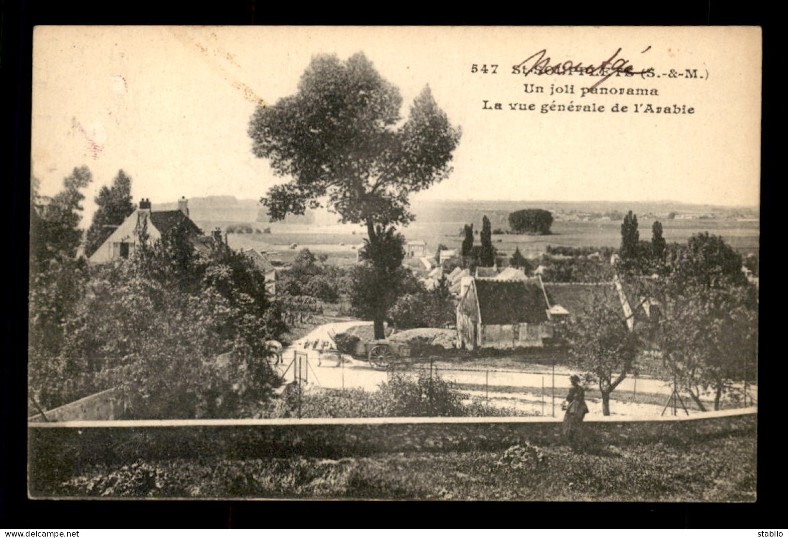 77 - SAINT-SOUPPLETS - VUE GENERALE DE L'ARABIE - Otros & Sin Clasificación