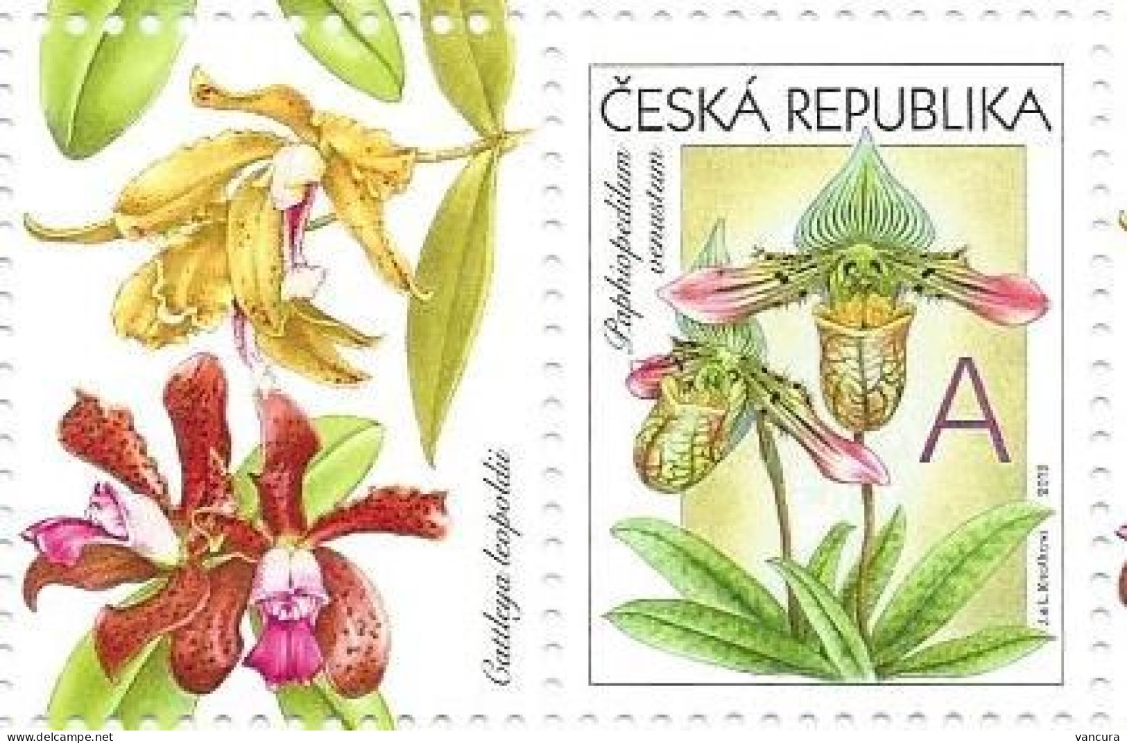 ** 745 Czech Republic ORCHID 2012 - Orchids