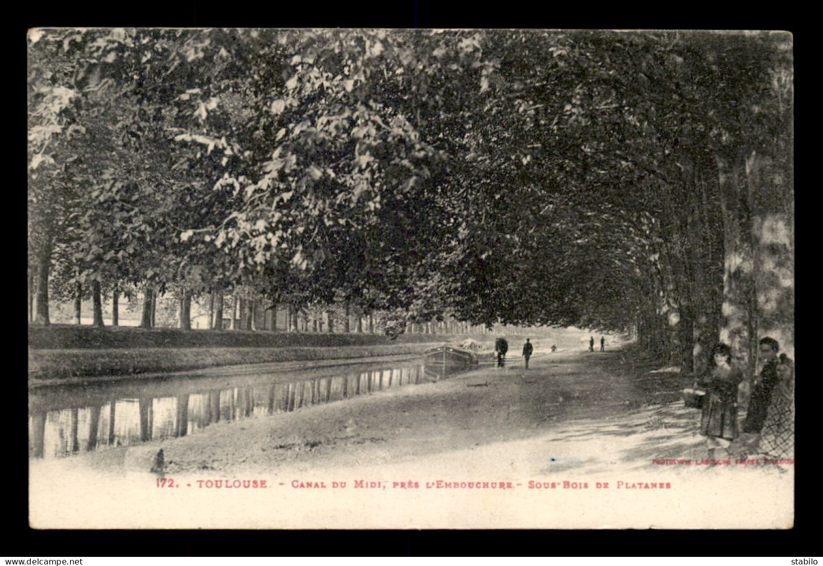 31 - TOULOUSE - CANAL DU MIDI - SOUS-BOIS DE PLATANES - Toulouse