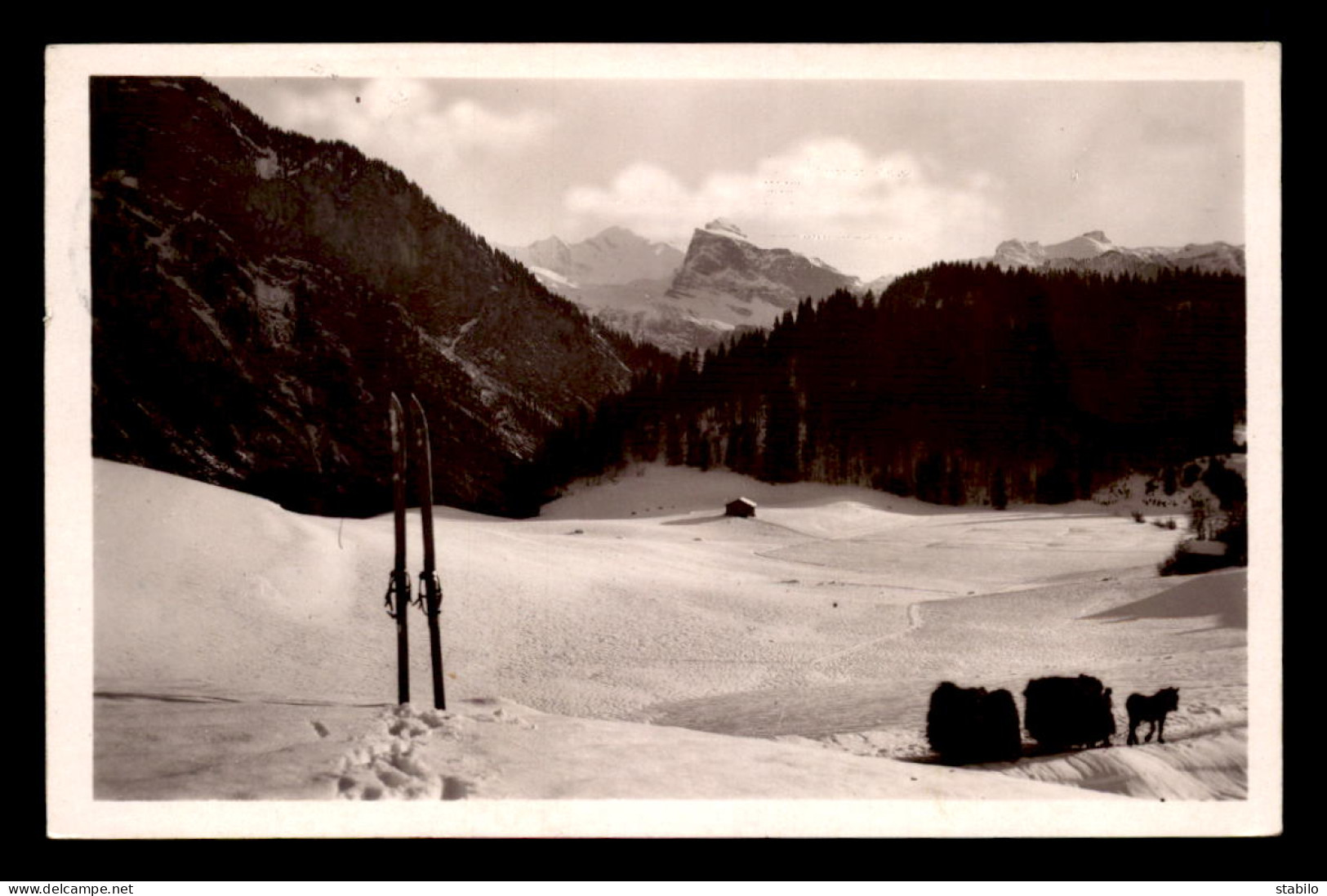 74 - SAMOENS - LE MONT-BLANC, LES POINTES DE SALLES ET DE PELOUSE VUS DE LA ROSIERE (1229M) - CACHET DAGUIN - Samoëns