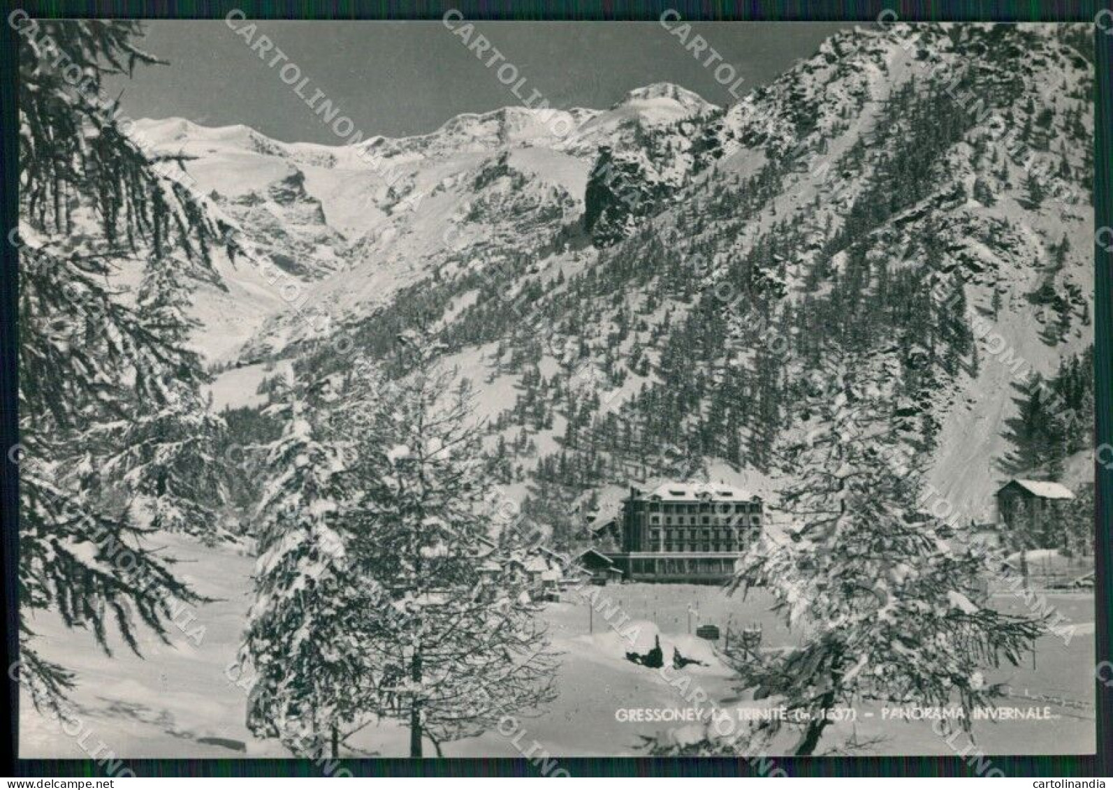 Aosta Gressoney La Trinitè Foto FG Cartolina KB1735 - Aosta