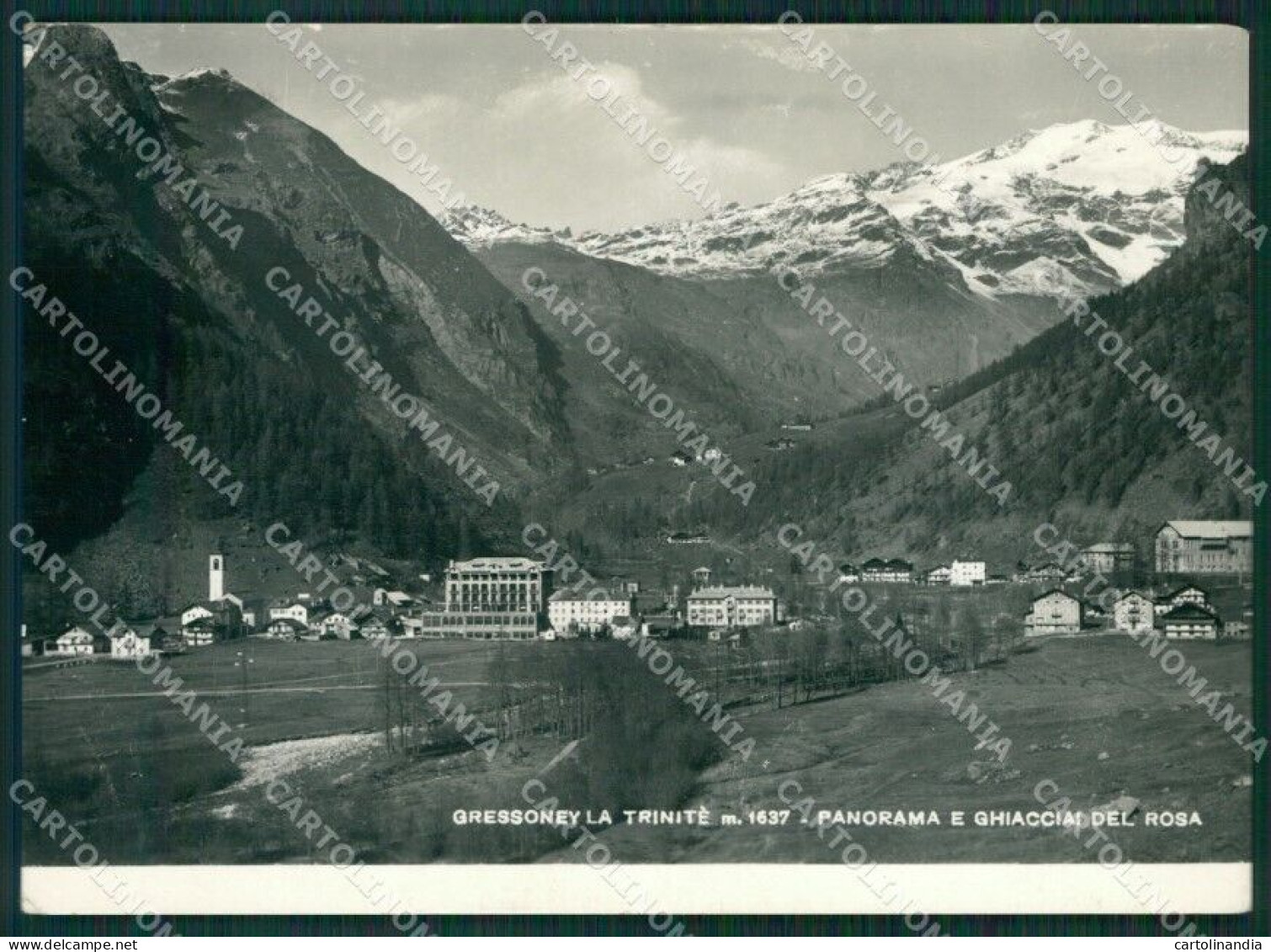 Aosta Gressoney La Trinitè Ghiacciai Monte Rosa Foto FG Cartolina KB1757 - Aosta