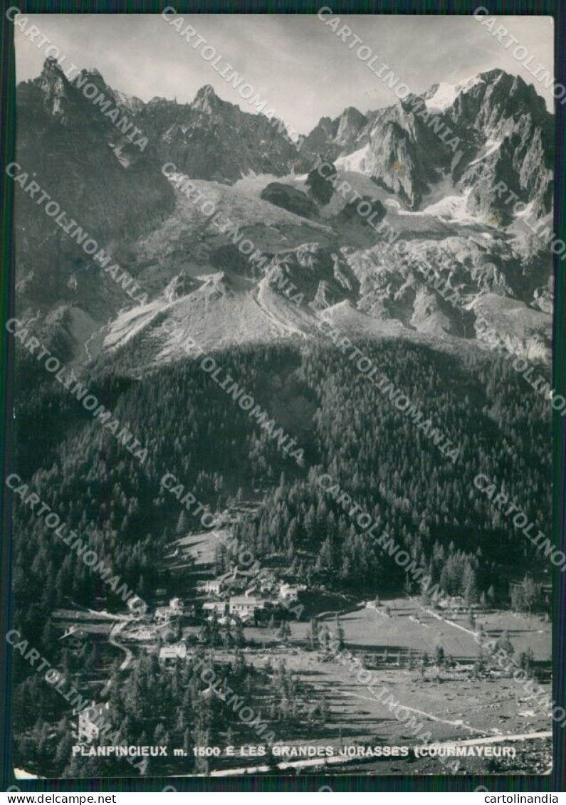 Aosta Courmayeur Planpincieux Grandes Jorasses Foto FG Cartolina KB1759 - Aosta