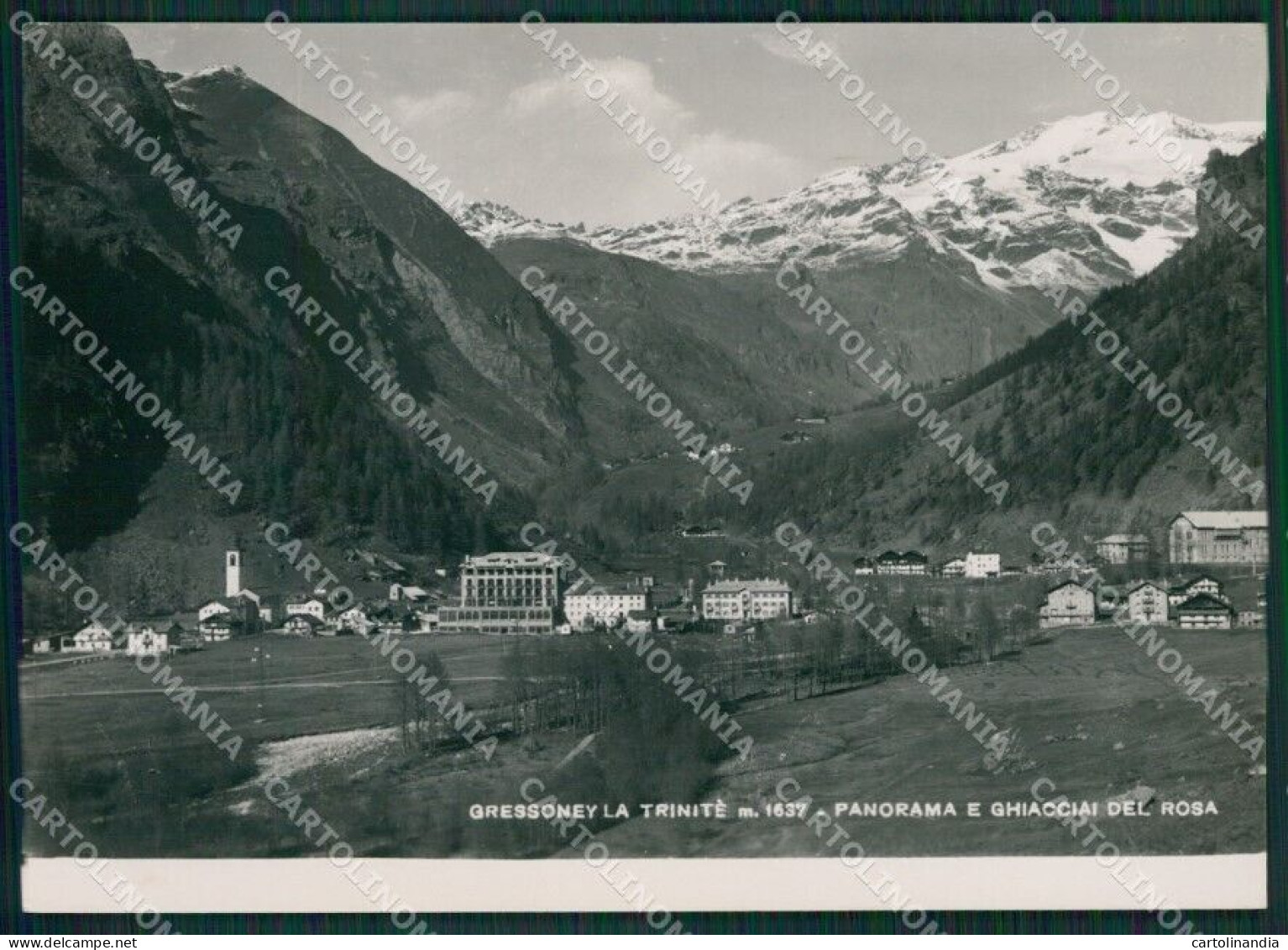 Aosta Gressoney La Trinitè Ghiacciai Monte Rosa Foto FG Cartolina KB1765 - Aosta