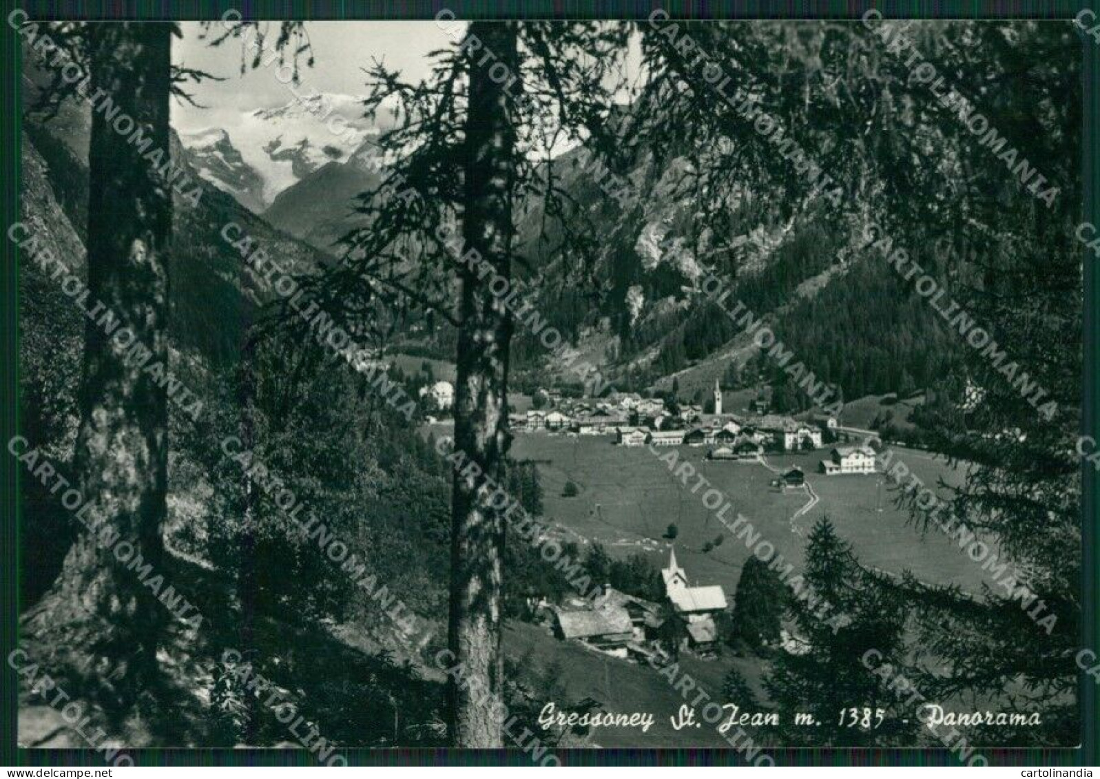 Aosta Gressoney Saint Jean Foto FG Cartolina KB1751 - Aosta