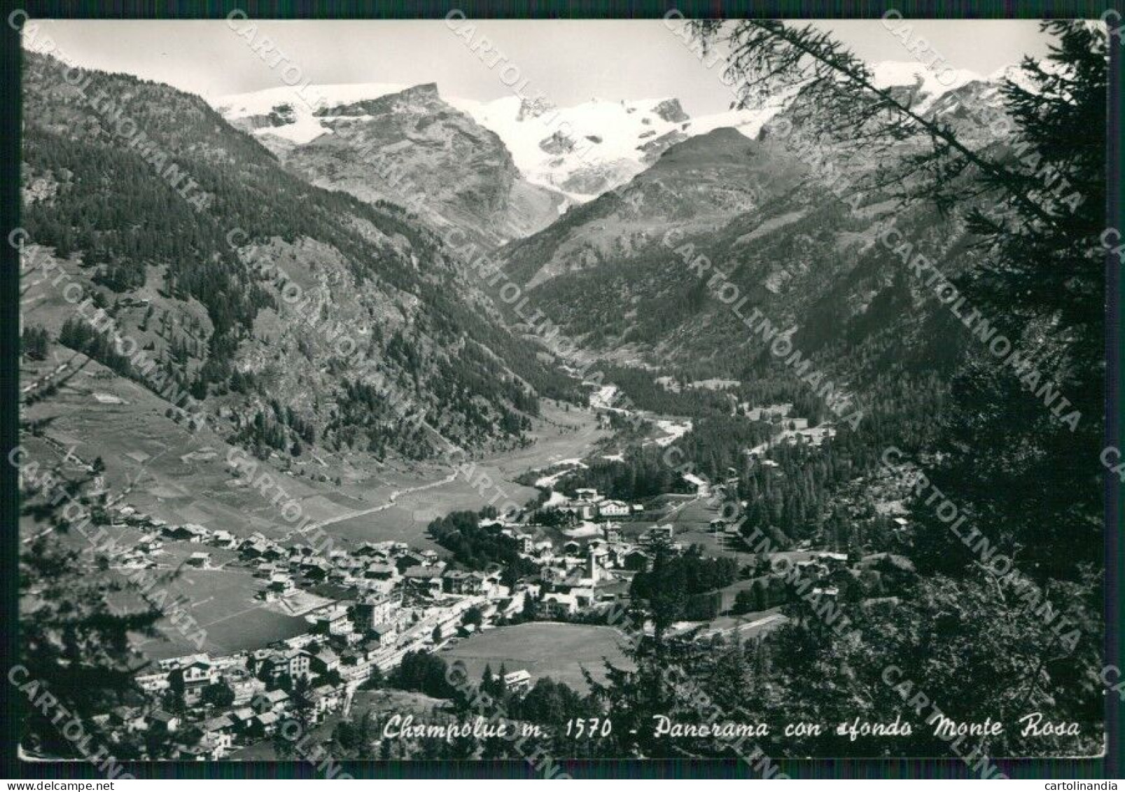 Aosta Ayas Champoluc Monte Rosa PIEGHINA Foto FG Cartolina KB1800 - Aosta