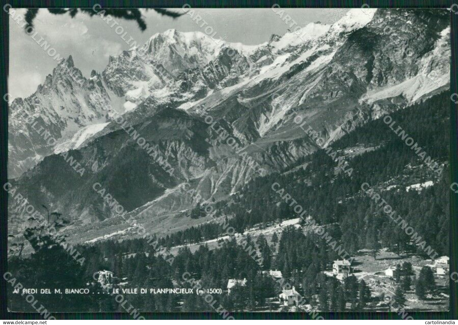 Aosta Courmayeur Valle Di Planpincieux Monte Bianco Foto FG Cartolina KB1818 - Aosta