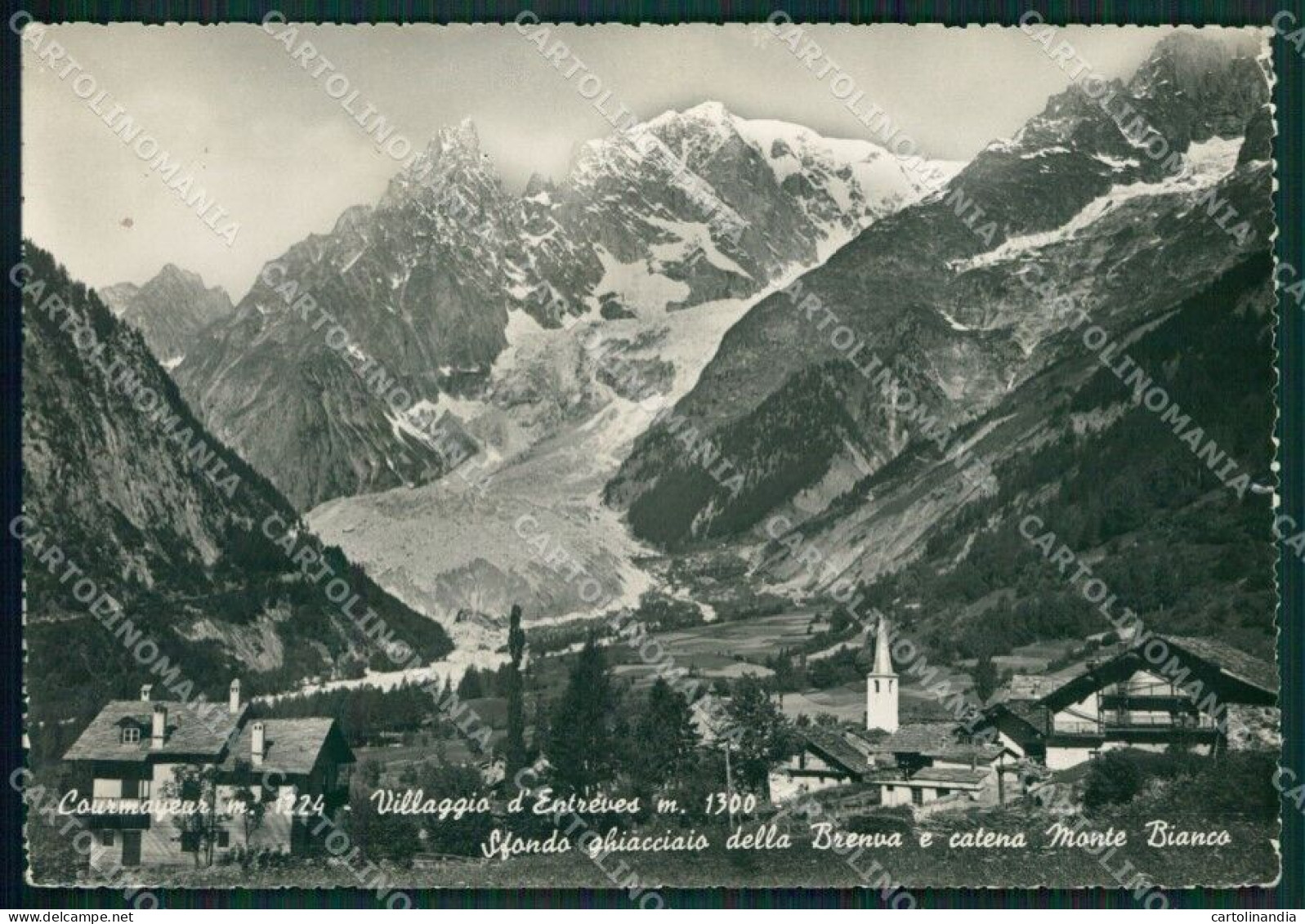 Aosta Courmayeur Entrèves Brenva Catena Monte Bianco Foto FG Cartolina KB1687 - Aosta