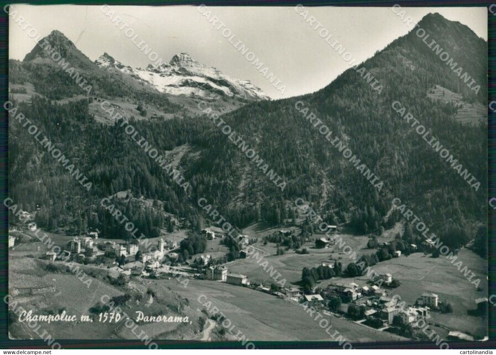 Aosta Ayas Champoluc STRAPPINO Foto FG Cartolina KB1892 - Aosta