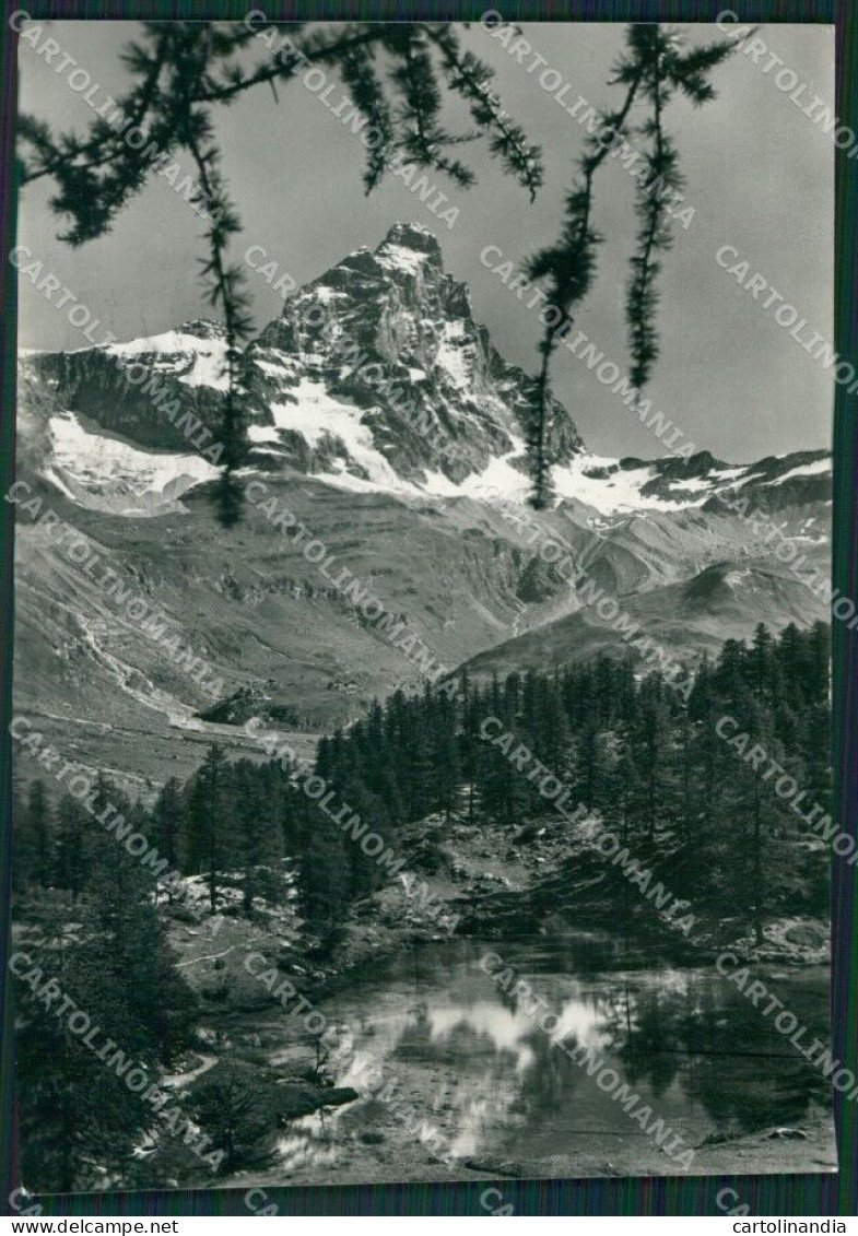 Aosta Valtournenche Cervinia Breuil Cervino Foto FG Cartolina KB1904 - Aosta