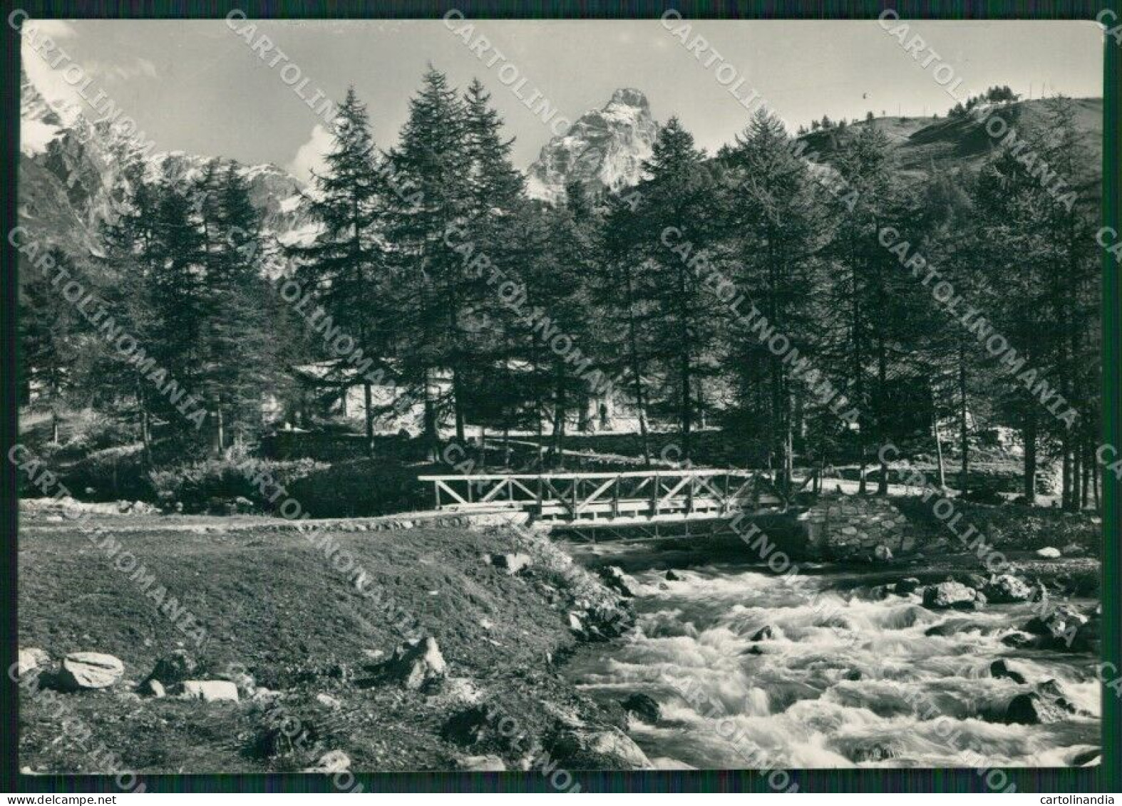 Aosta Valtournenche Cervino Foto FG Cartolina KB1902 - Aosta