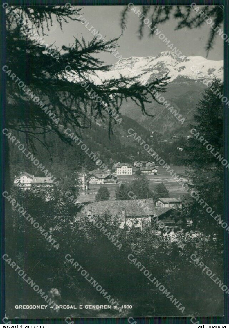Aosta Gresssoney Dresal Sendren Foto FG Cartolina KB1706 - Aosta