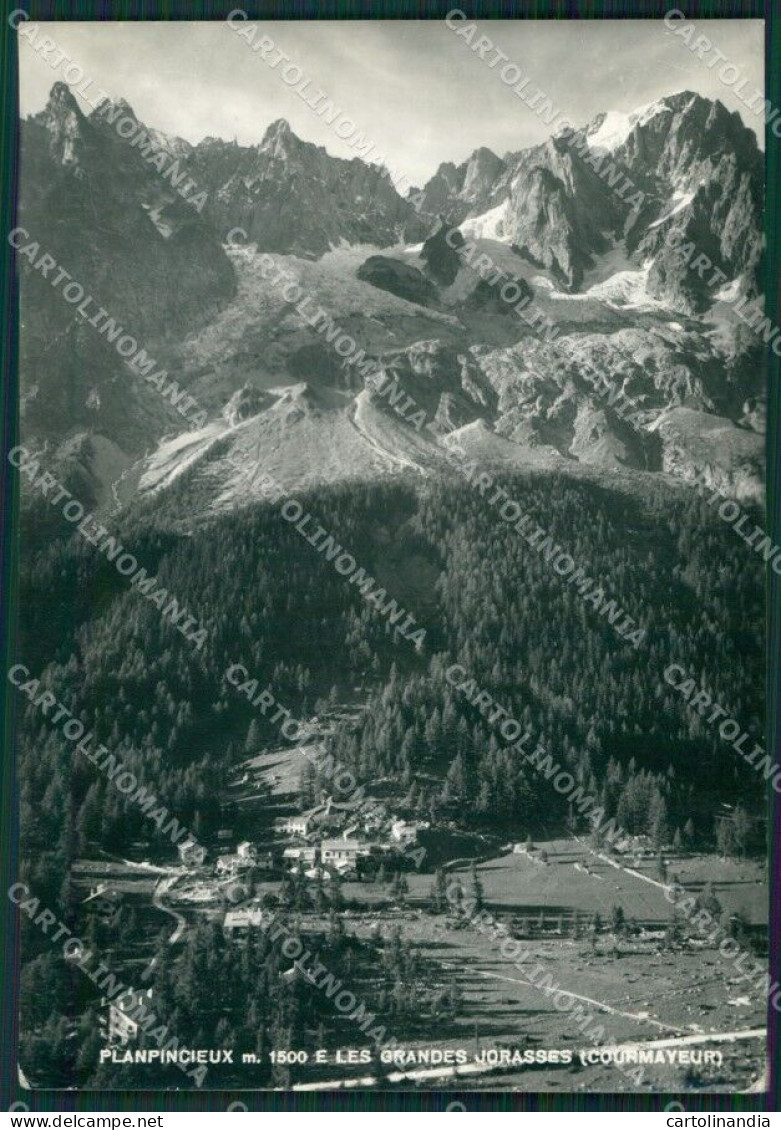 Aosta Courmayeur Planpincieux Grandes Jorasses Foto FG Cartolina KB1838 - Aosta