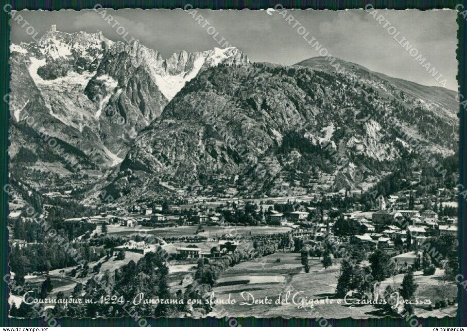 Aosta Courmayeur Dente Del Gigante PIEGHINA Foto FG Cartolina KB1839 - Aosta