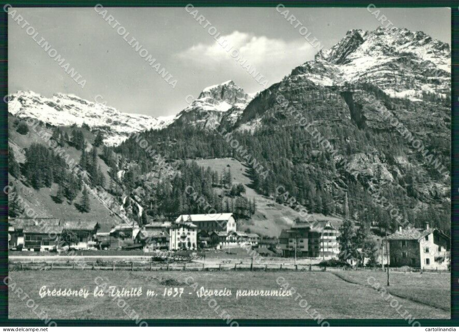 Aosta Gressoney La Trinitè Foto FG Cartolina KB1748 - Aosta