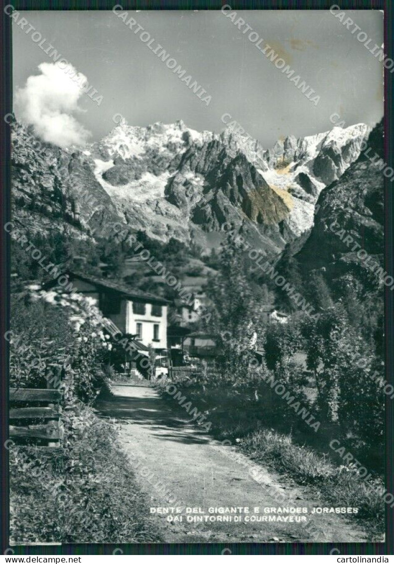 Aosta Courmayeur Dente Del Gigante Grandes Jorasses Foto FG Cartolina KB1744 - Aosta