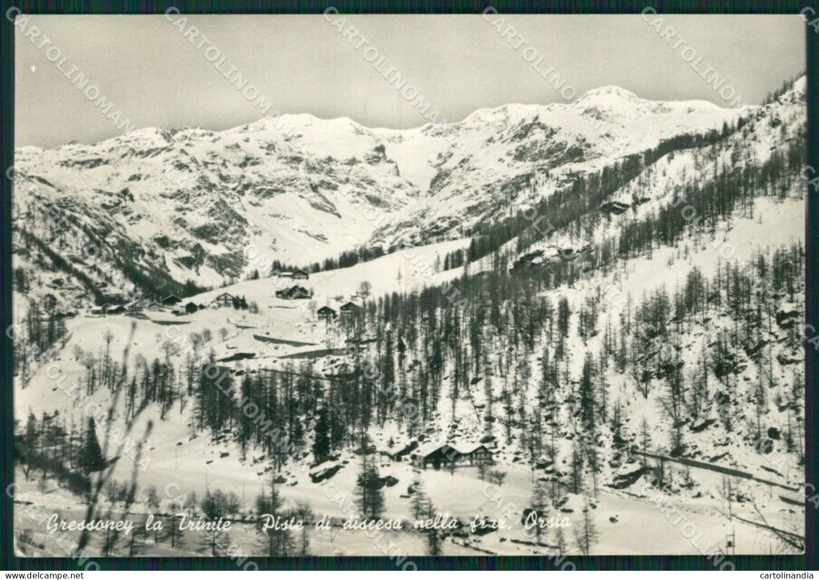 Aosta Gressoney La Trinitè Orsia Nevicata Foto FG Cartolina KB1842 - Aosta