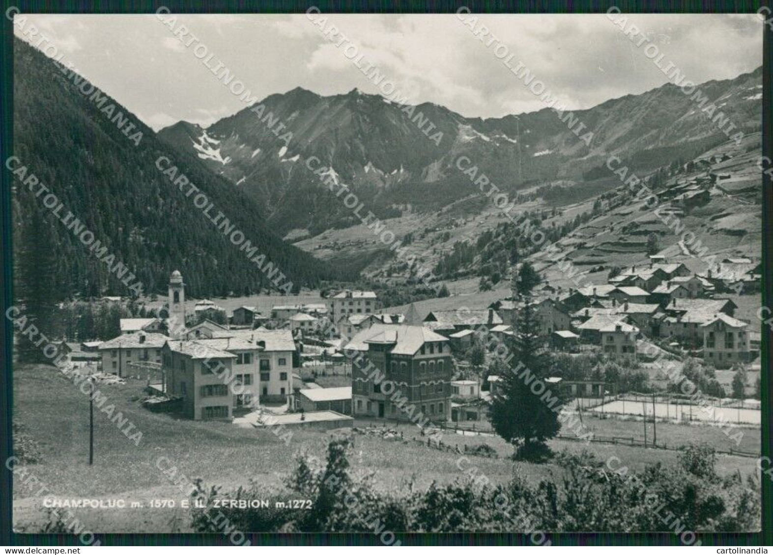 Aosta Ayas Champoluc Foto FG Cartolina KB1763 - Aosta