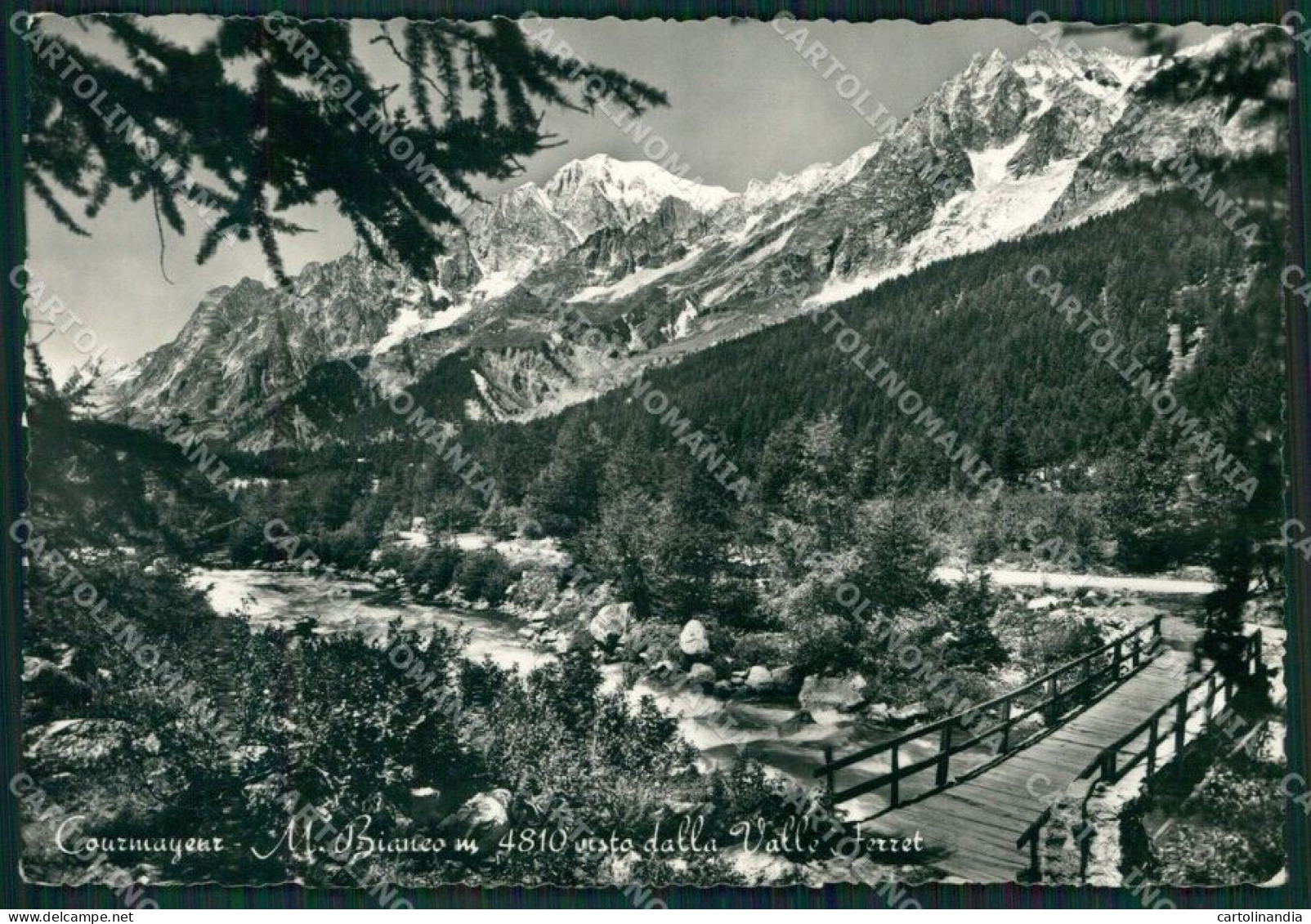 Aosta Courmayeur Monte Bianco Foto FG Cartolina KB1874 - Aosta