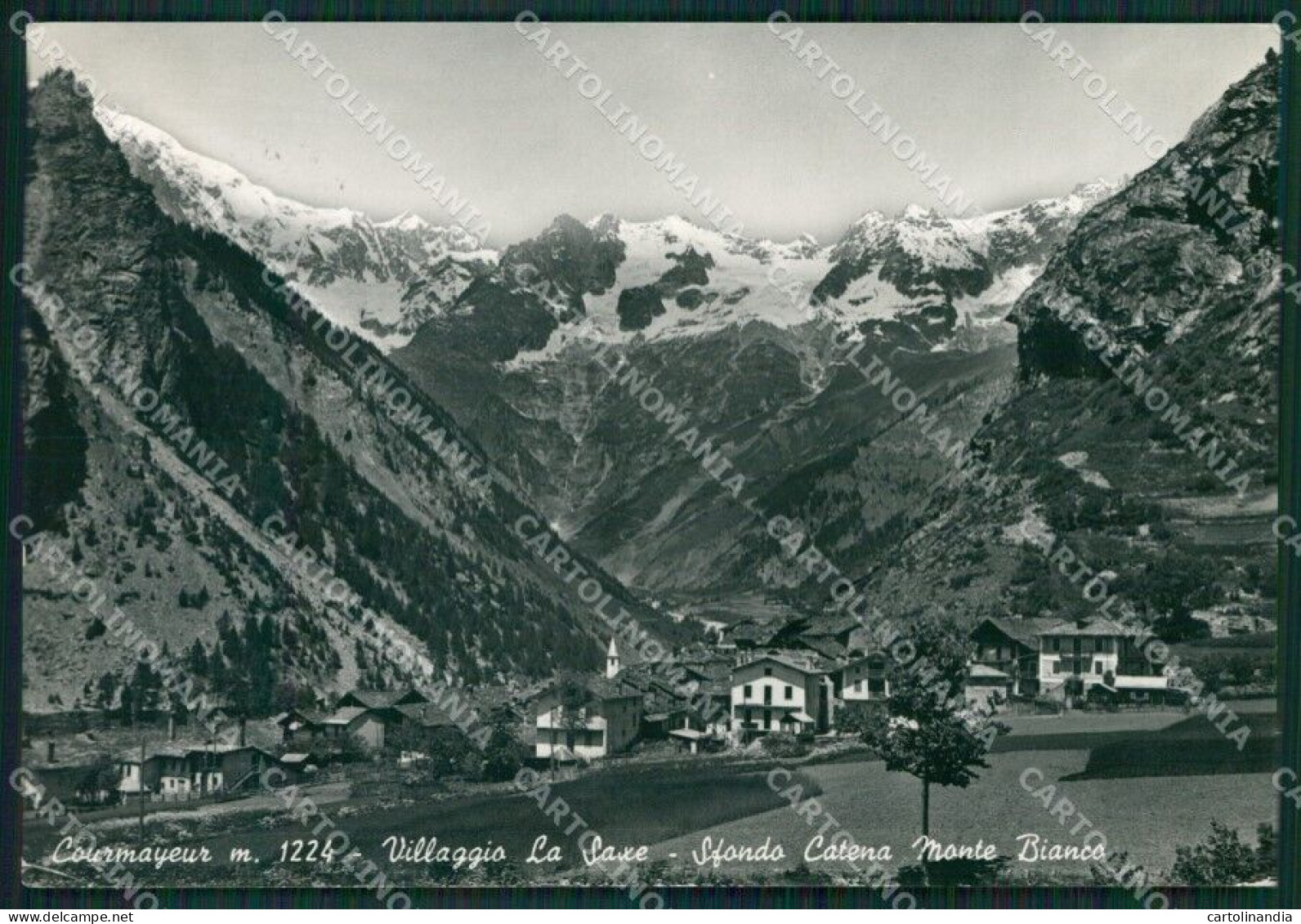 Aosta Courmayeur La Saxe Catena Monte Bianco Foto FG Cartolina KB1872 - Aosta