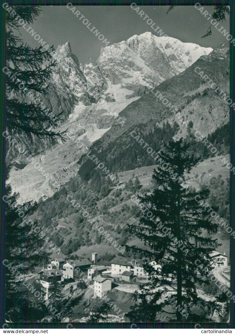 Aosta Courmayeur La Palud Foto FG Cartolina KB1717 - Aosta