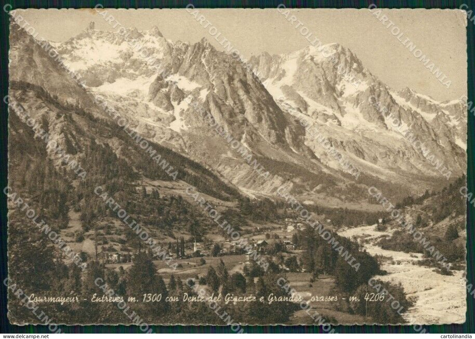 Aosta Courmayeur Entrèves Dente Del Gigant Jorasses FG Cartolina KB1702 - Aosta