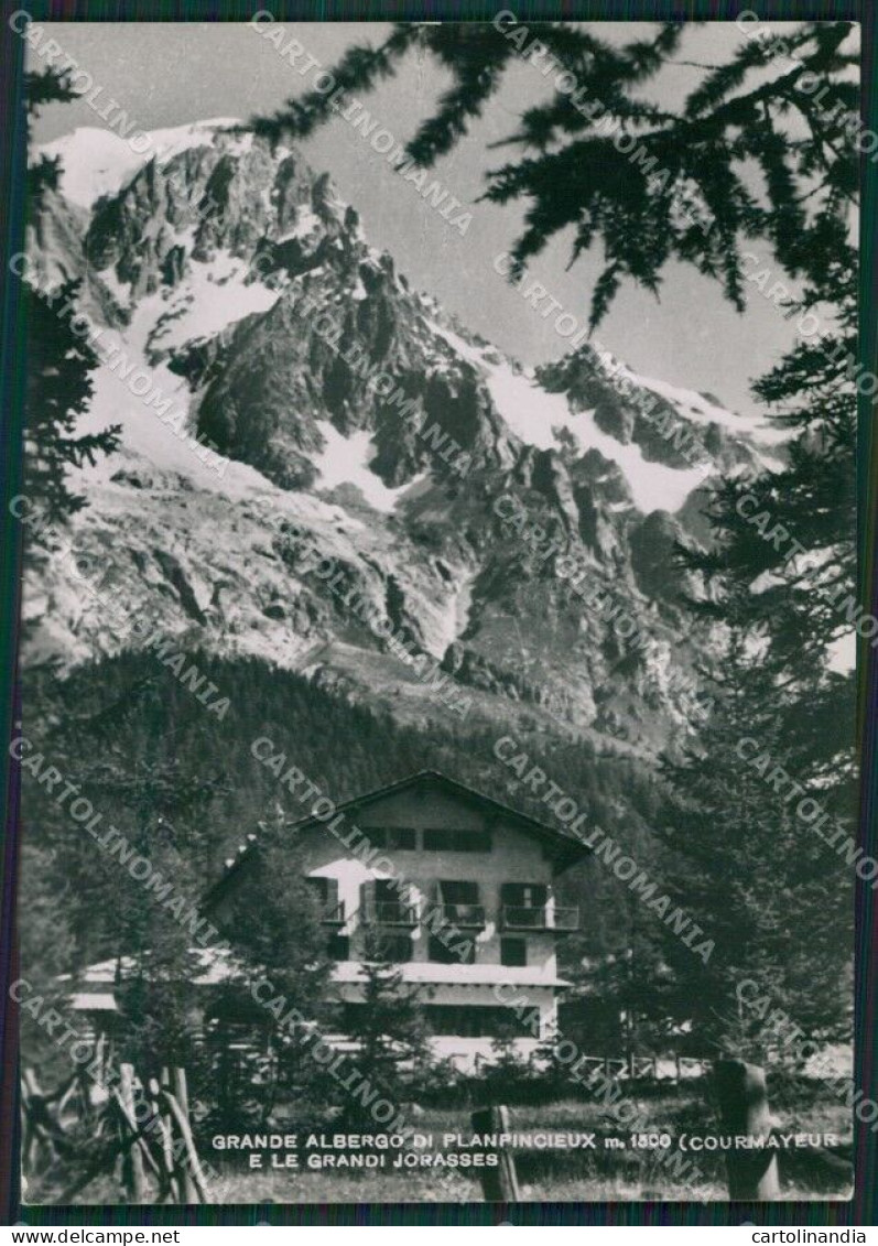 Aosta Courmayeur Planpincieux Grandes Jorasses Foto FG Cartolina KB1752 - Aosta