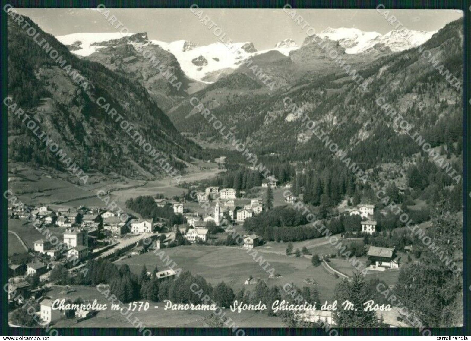Aosta Ayas Champoluc Ghiacciai Del Rosa Foto FG Cartolina KB1850 - Aosta