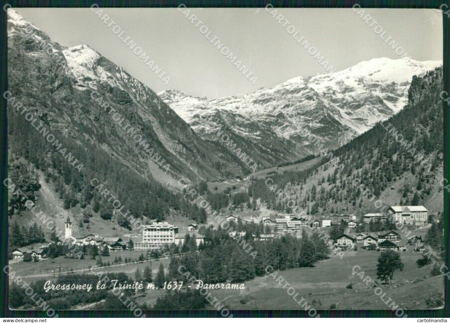 Aosta Gressoney La Trinitè Foto FG Cartolina KB1859 - Aosta