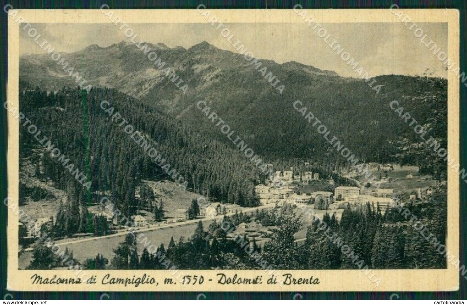 Trento Pinzolo Madonna Di Campiglio Cartolina KV4286 - Trento