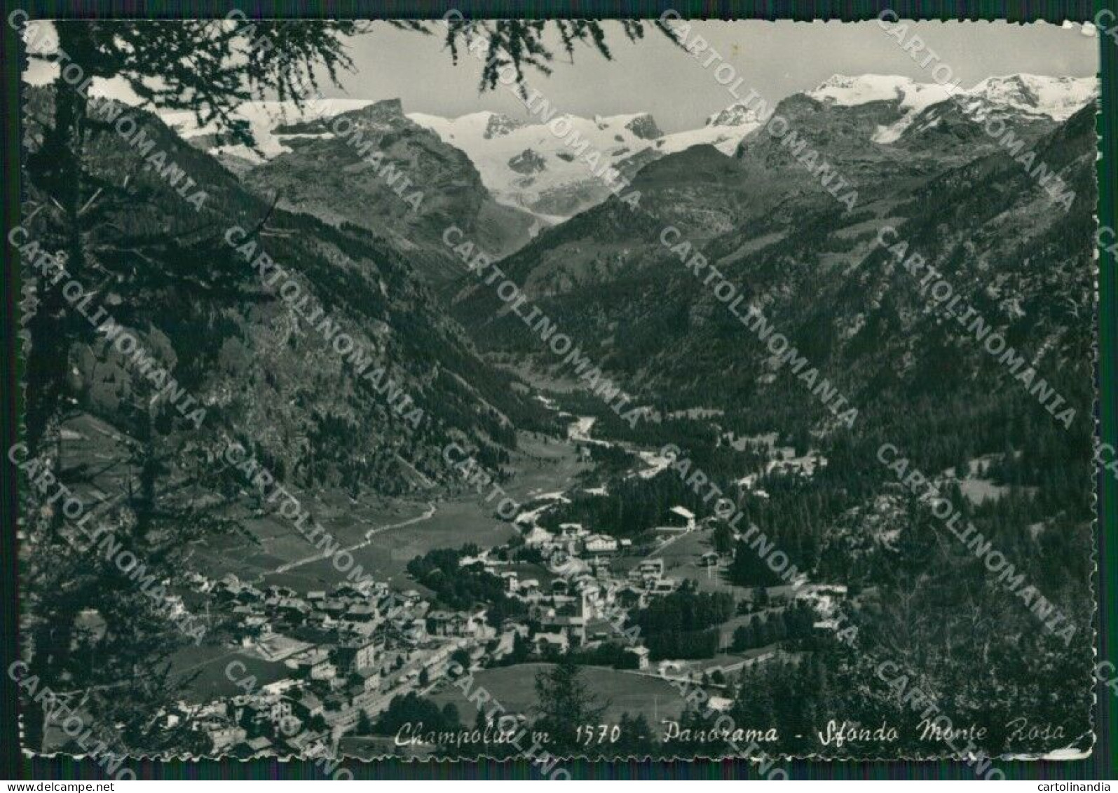 Aosta Ayas Champoluc Monte Rosa Foto FG Cartolina KB1893 - Aosta