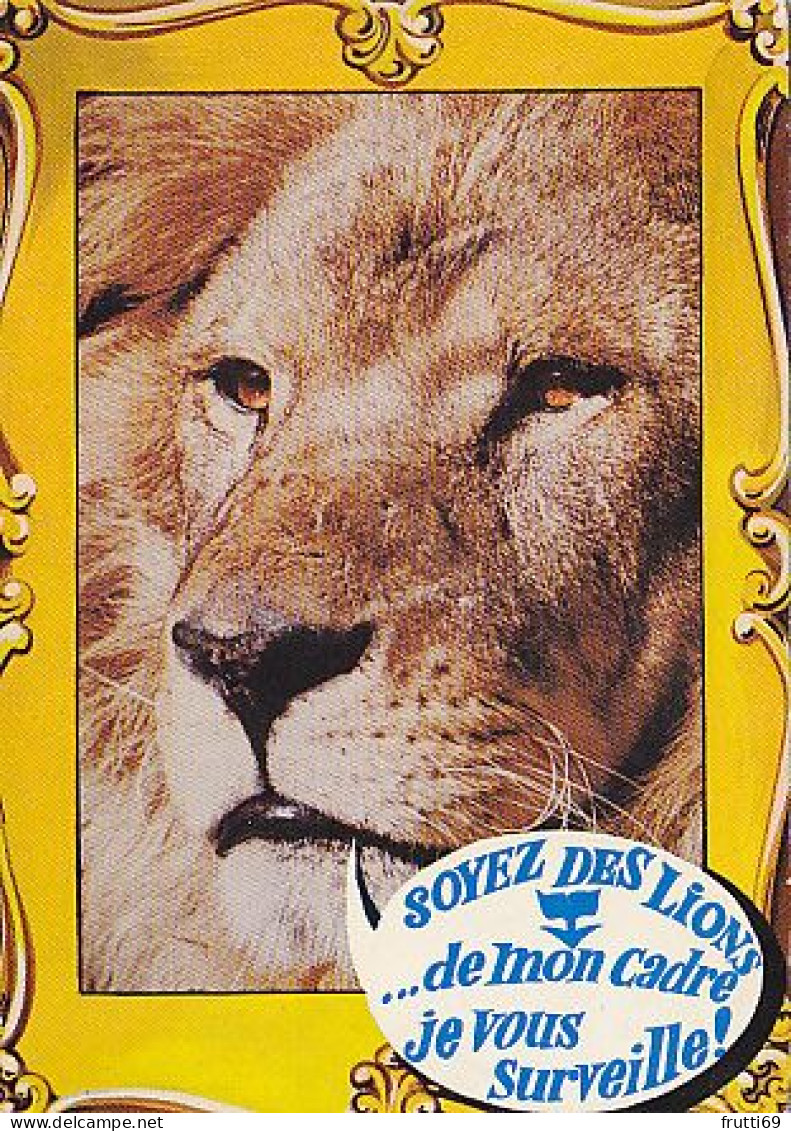 AK 215064 LION / LÖWE ... - Lions