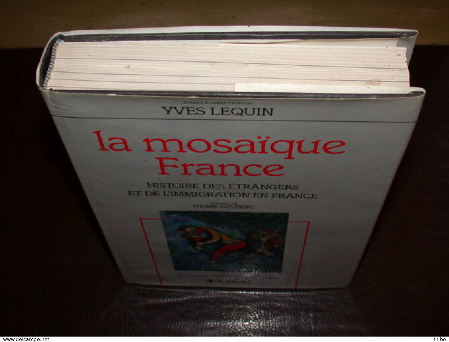 La Mosaïque France. Histoire Des étrangers Et De L'immigration En France - Other & Unclassified