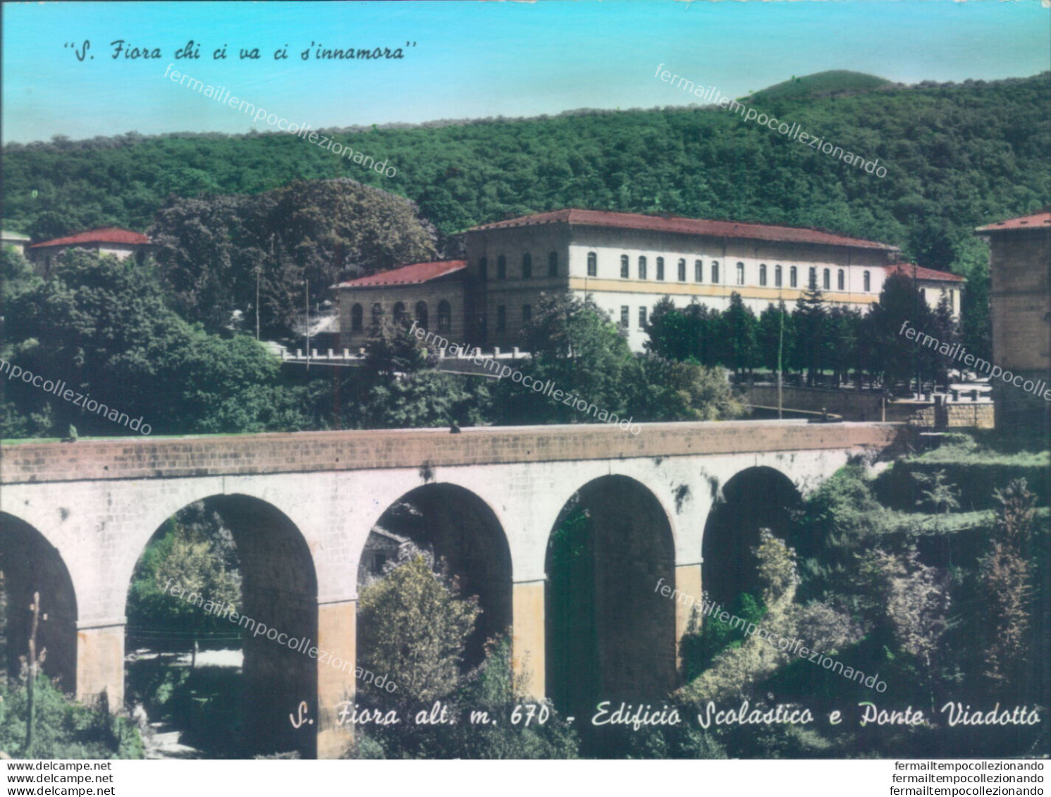 Z222 Cartolina S.fiora Edificio Scolastico E Ponte Viadott Provincia Di Grosseto - Grosseto