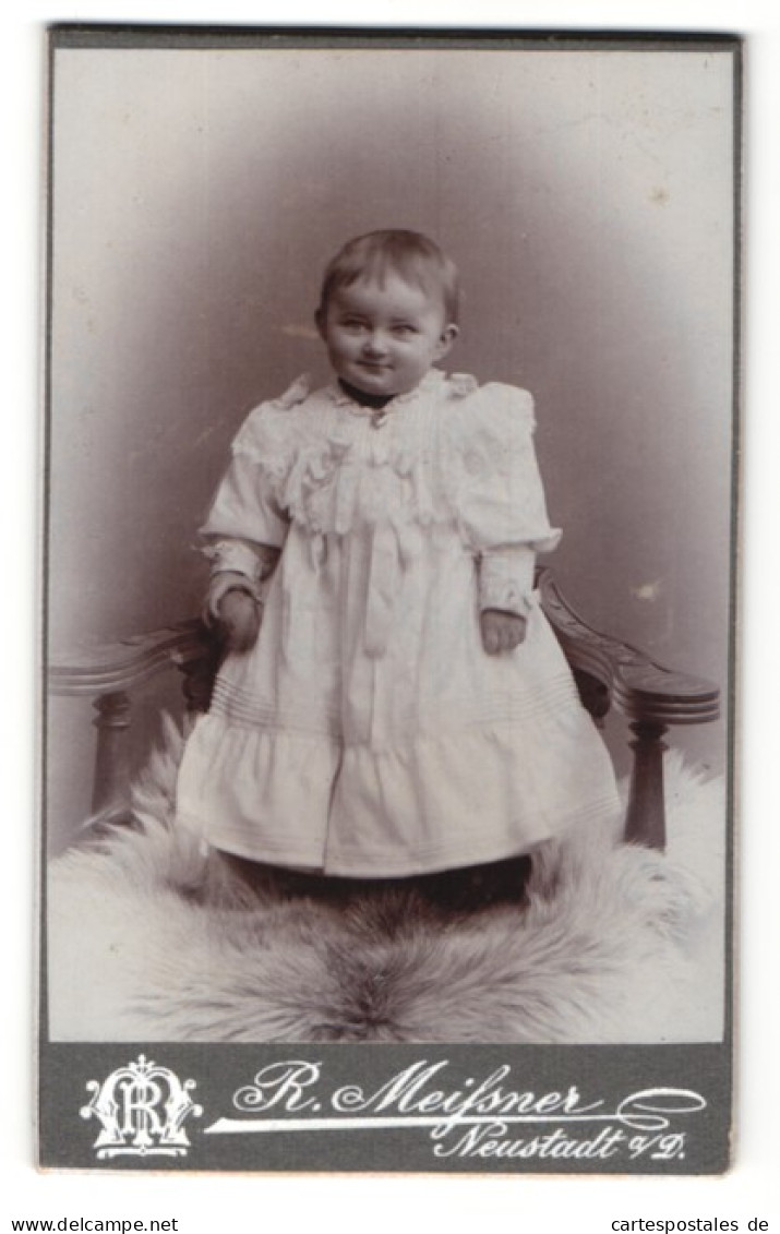 Fotografie R. Meissner, Neustadt A.D., Portrait Niedliches Kleinkind Im Kleidchen Auf Einem Fell  - Personnes Anonymes