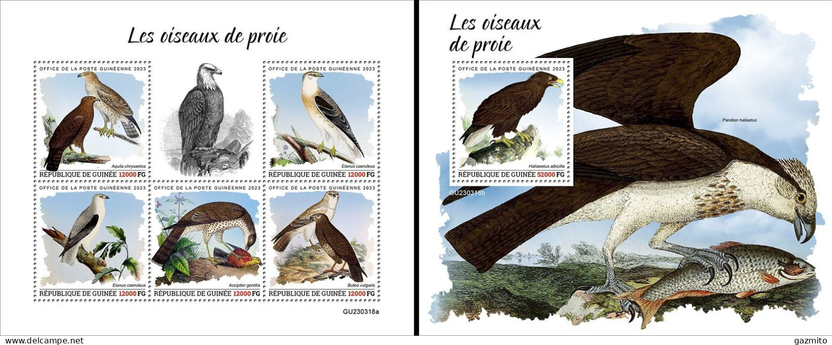 Guinea 2023, Animals, Birds Of Prey, 5val In BF +BF - República De Guinea (1958-...)