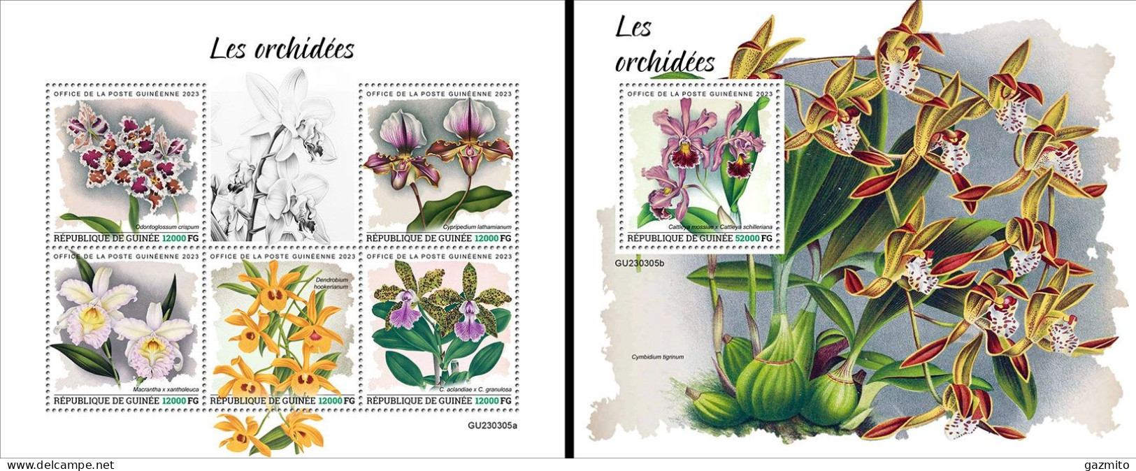 Guinea 2023, Orchids, 5val In BF +BF - Guinee (1958-...)