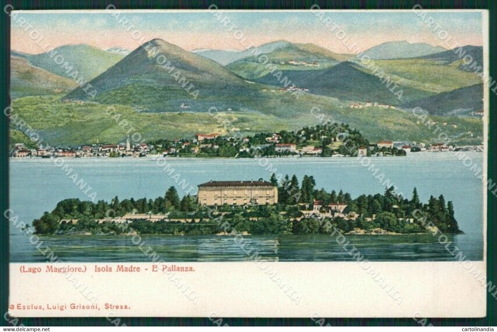 Verbania Stresa Isola Madre Pallanza Lago Maggiore Cartolina KV4692 - Verbania