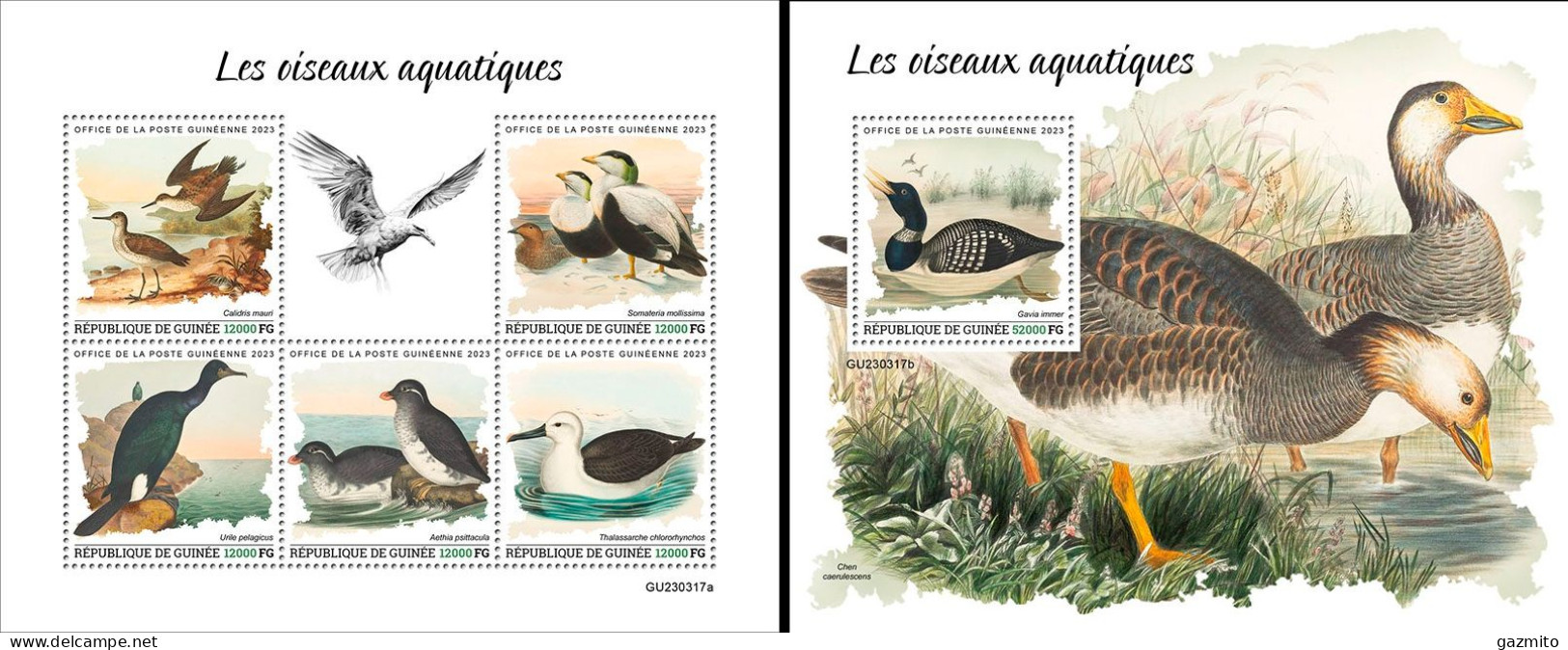 Guinea 2023, Animals, Water Birds, 5val In BF +BF - Albatrosse & Sturmvögel