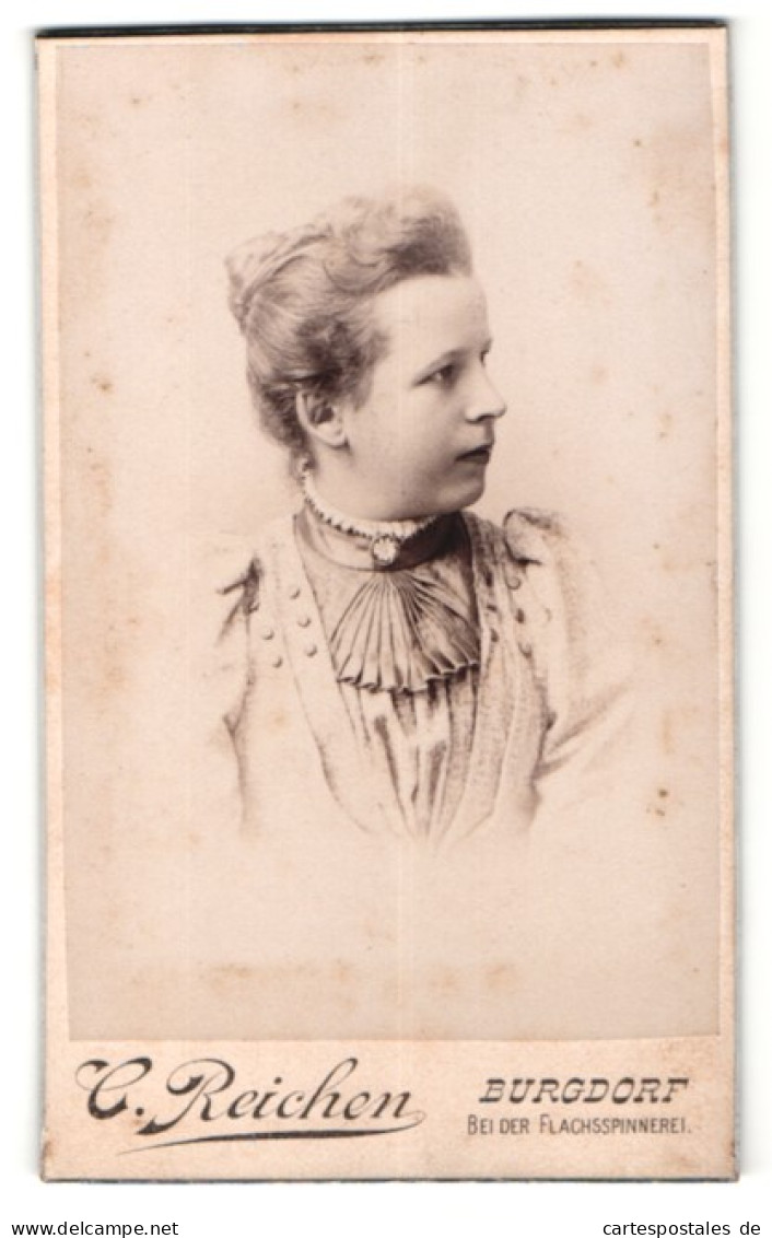 Fotografie C. Reichen, Burgdorf, Portrait Schöne Frau In Bestickter Bluse  - Anonymous Persons
