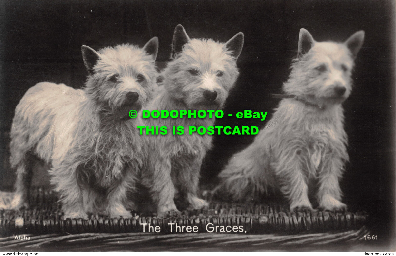 R510034 The Three Graces. Alpha Publishing - World