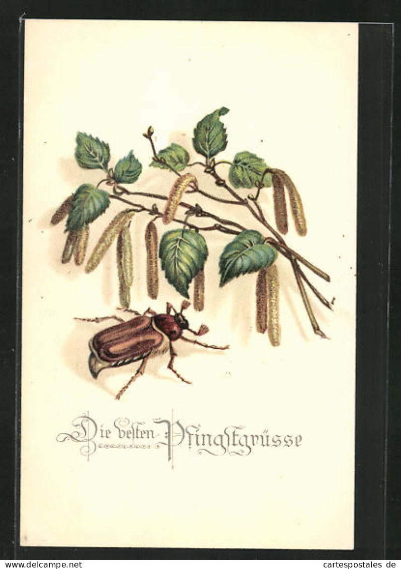 AK Maikäfer Und Zweige, Pfingstgruss  - Insects