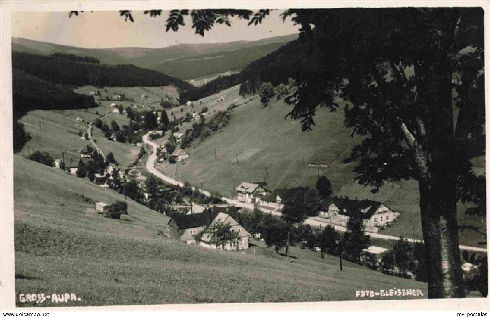 73972839 Gross-Aupa_Velka_Upa_CZ Panorama - Czech Republic