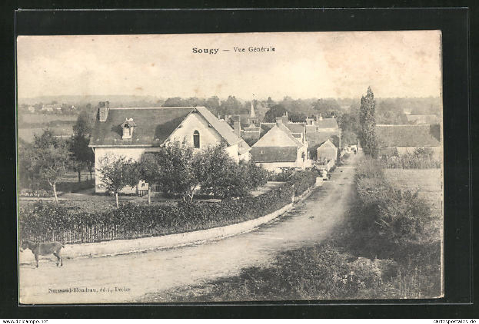 CPA Sougy, Vue Generale  - Autres & Non Classés