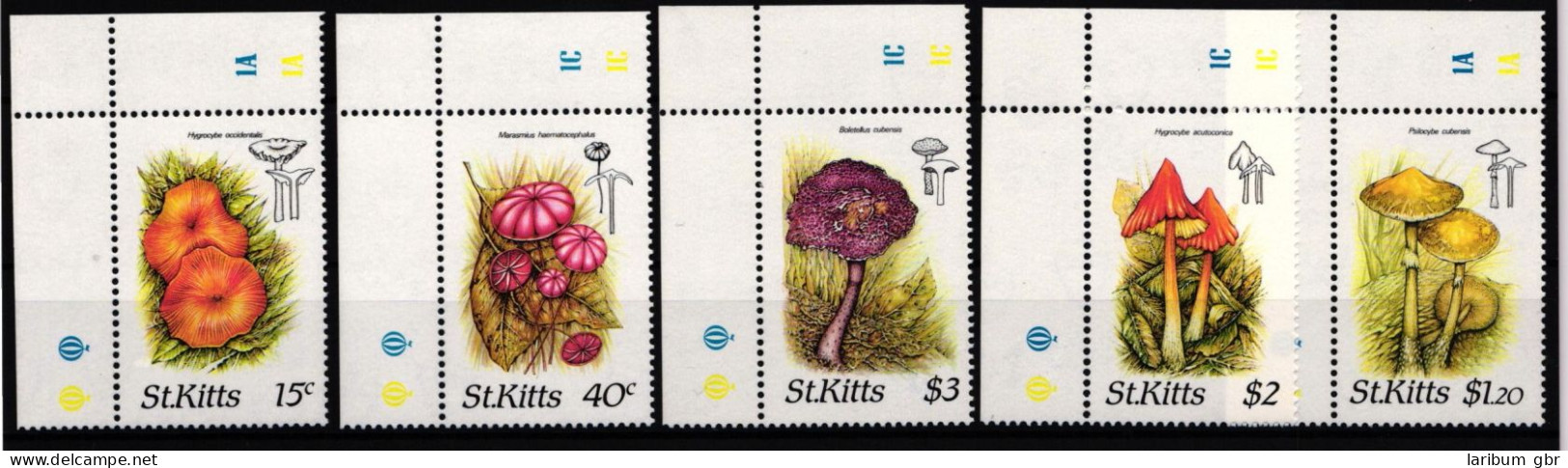 St. Kitts 213-217 Postfrisch Pilze #JA644 - St.Kitts En Nevis ( 1983-...)