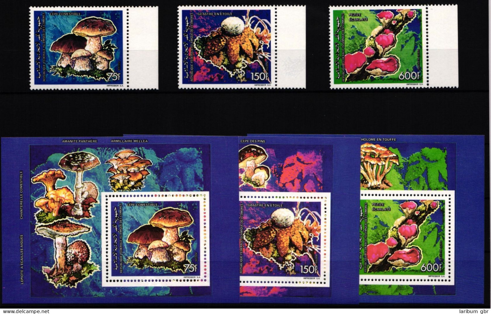Komoren 982-984 Und Block 358-360 Postfrisch Pilze #JA633 - Isole Comore (1975-...)