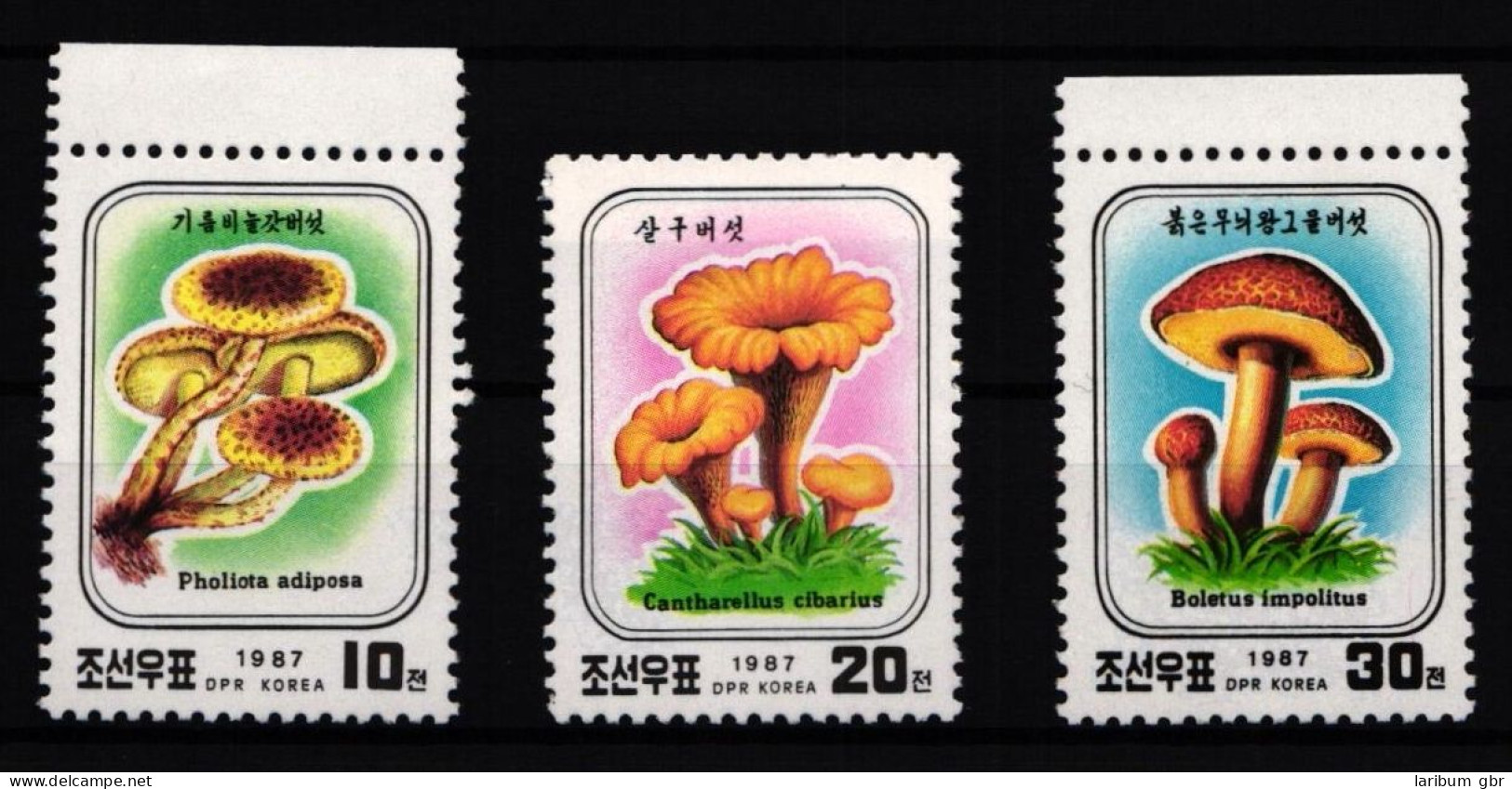 Korea 2798-2800 Postfrisch Pilze #JA795 - Korea (Nord-)